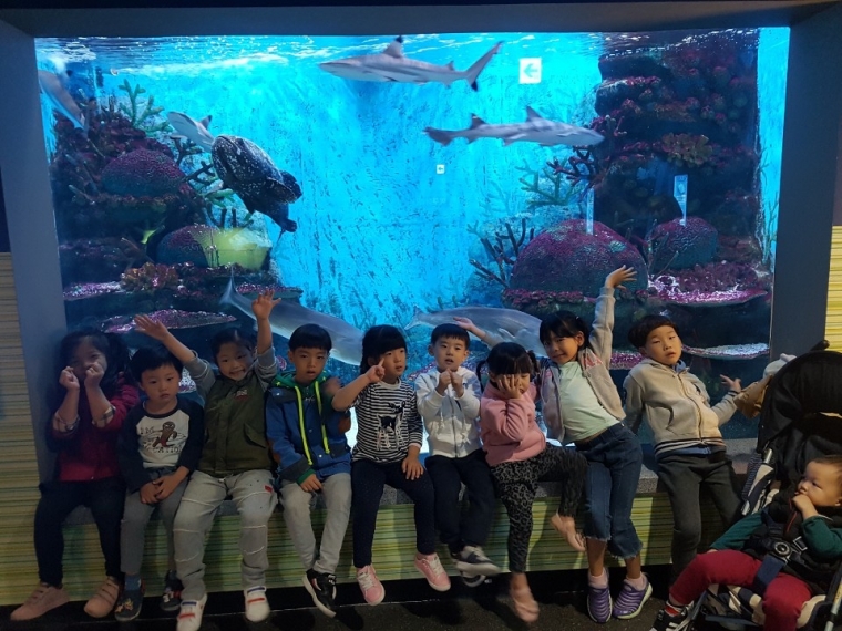 KakaoTalk_Photo_2018-10-28-13-56-30.jpeg